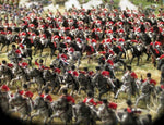 DOMAINE CELLARS - FINE WINE AND MILITARY MINIATURES