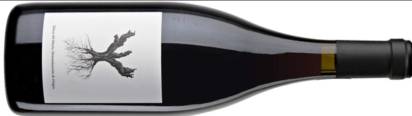 psi_PINGUS_RIBERA_DEL_DUERO_60